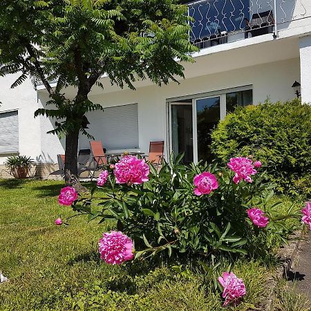 Rauszeit-Toroni Apartment Niedenstein Ngoại thất bức ảnh