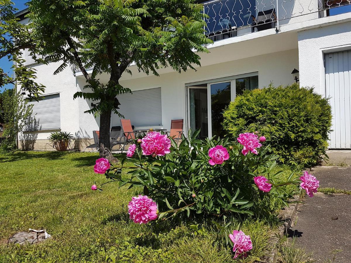Rauszeit-Toroni Apartment Niedenstein Ngoại thất bức ảnh